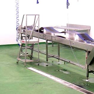 green flooring in a factory